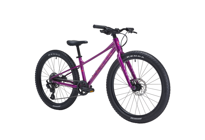 Marin Bear Valley 24"
