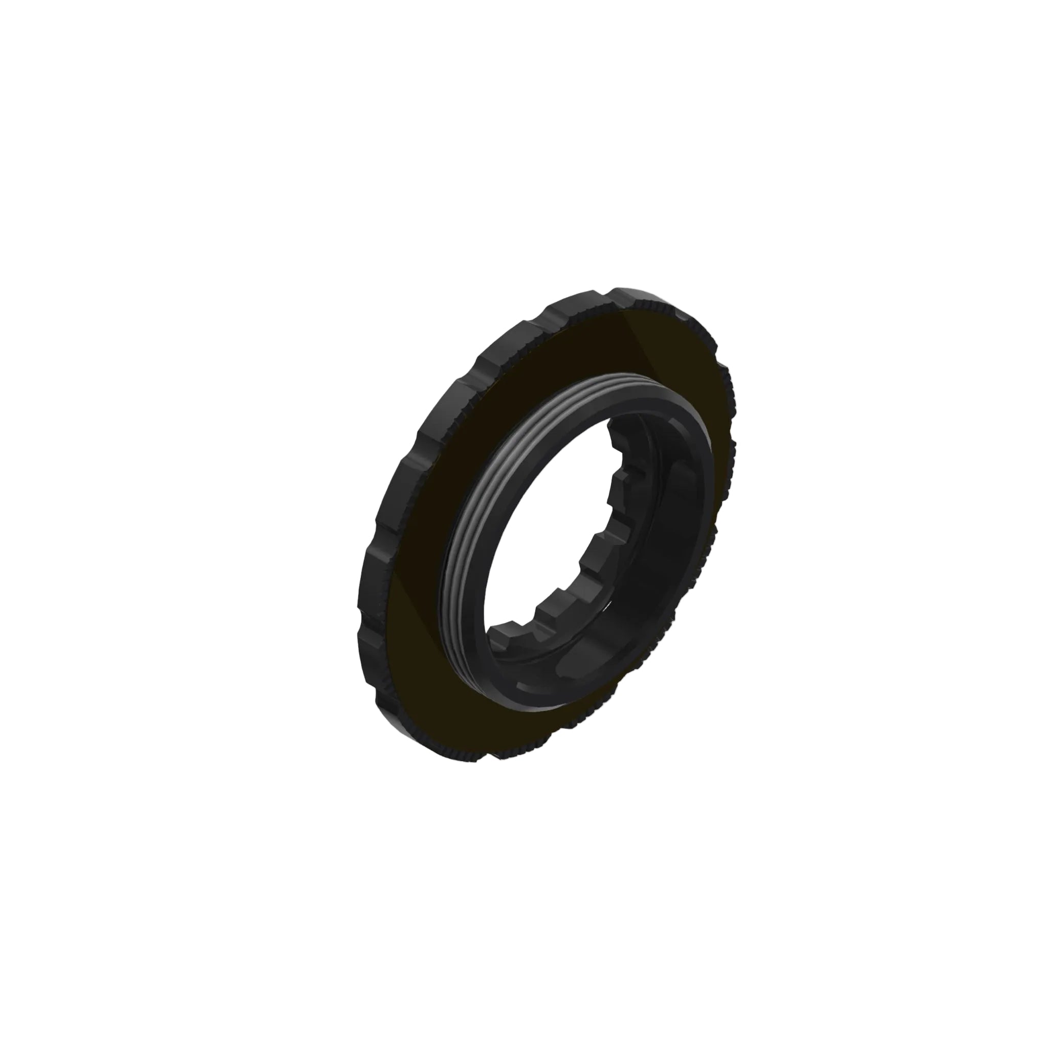 DT Swiss Lock Ring
